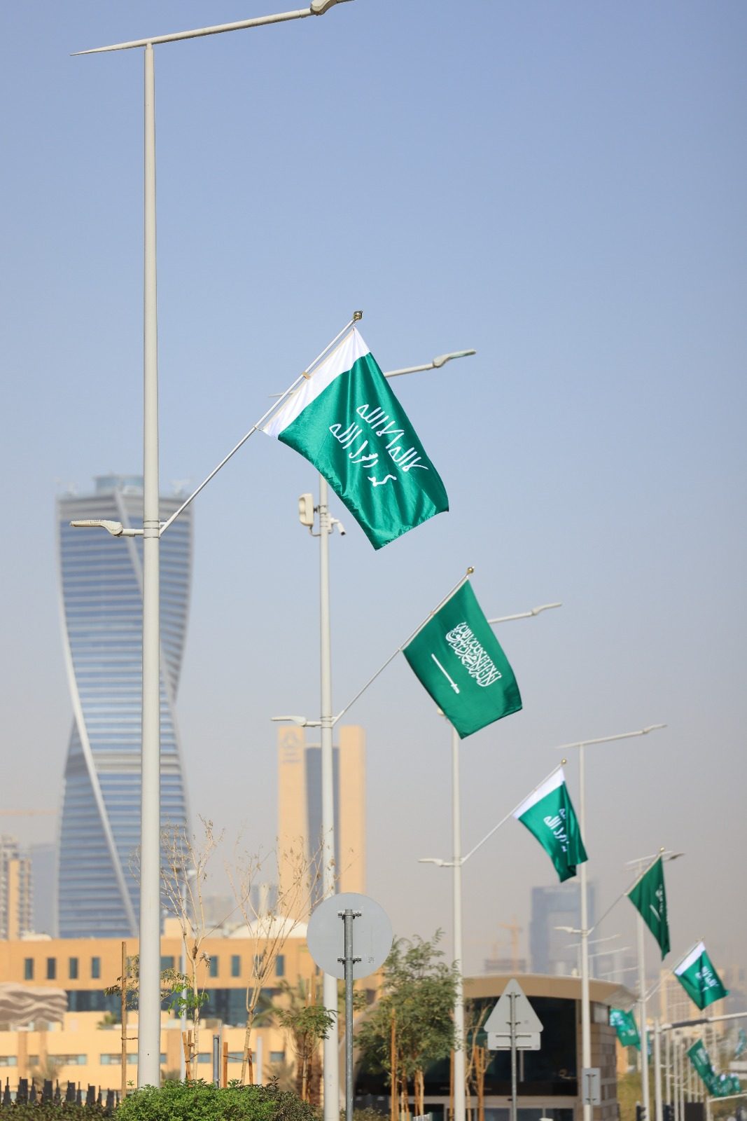 الأعلام الوطنية
